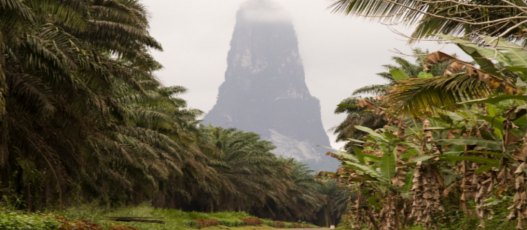 Klima auf São Tomé und Príncipe